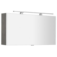 Sapho CLOE szafka z lustrem z oświetleniem LED 100x50x18cm dąb srebrny CE100-0011
