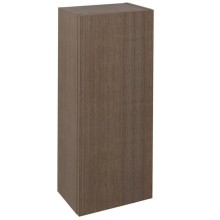 Sapho ESPACE szafka 35x94x22cm 1 drzwi lewa/prawa sosna rustykalna ESC110-1616