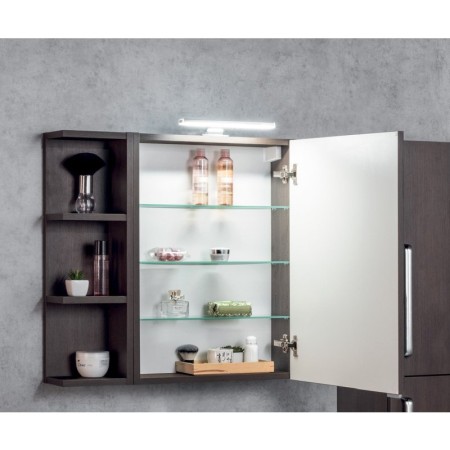 Sapho RIWA szafka z lustrem oświetlenie LED 60x70x17cm dąb srebrny RIW060-0011