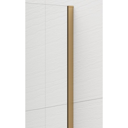 Polysan ESCA GOLD MATT jednoczęściowa kabina przysznicowa Walk-In montaż przy ścianie szkło matowe 1200 mm ES1112-04