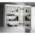 Sapho LINEX szafka z lustrem oświetlenie LED 60x70x15cm lewa/prawa biała LX060-0030